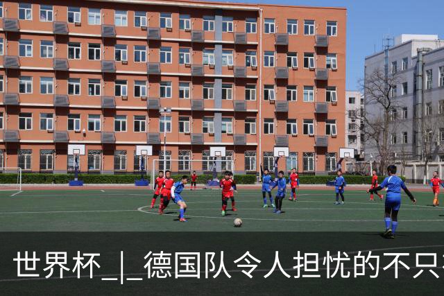 世界杯 | 德国队令人担忧的不只有求胜欲